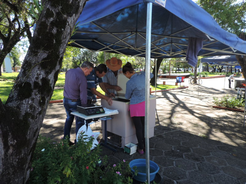 Secretaria Municipal de Agricultura, Abastecimento e Meio Ambiente já está organizando a tradicional Feira Do Peixe